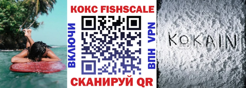 Кокаин FishScale  купить закладку  Райчихинск 