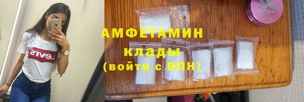 твердый Новозыбков