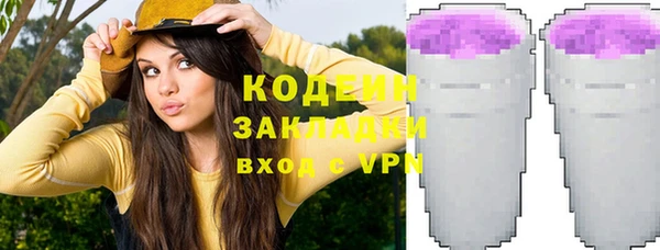 твердый Новозыбков