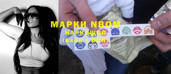 твердый Новозыбков