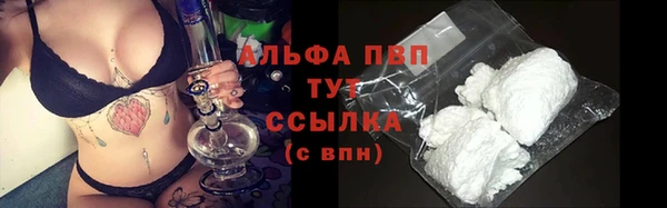 твердый Новозыбков
