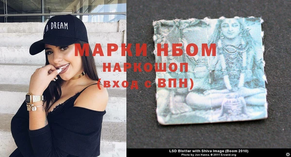 твердый Новозыбков