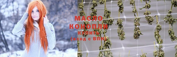 твердый Новозыбков