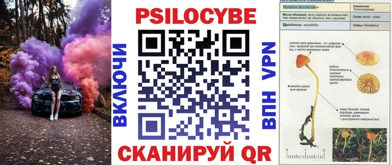 Галлюциногенные грибы Psilocybine cubensis  Райчихинск 
